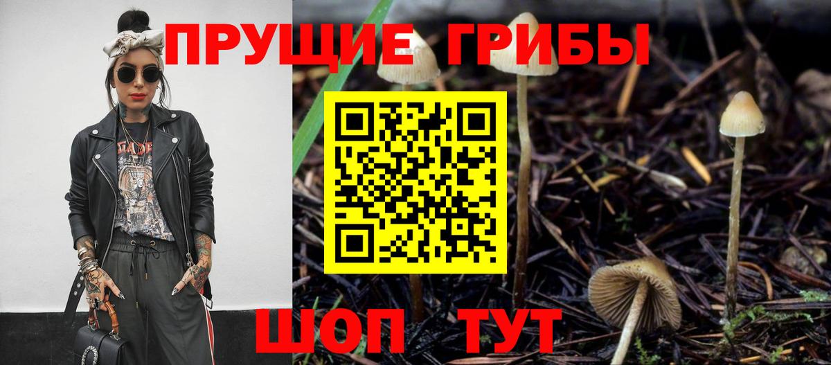 Корсаков  Галлюциногенные грибы Psilocybe  Вход с VPN 